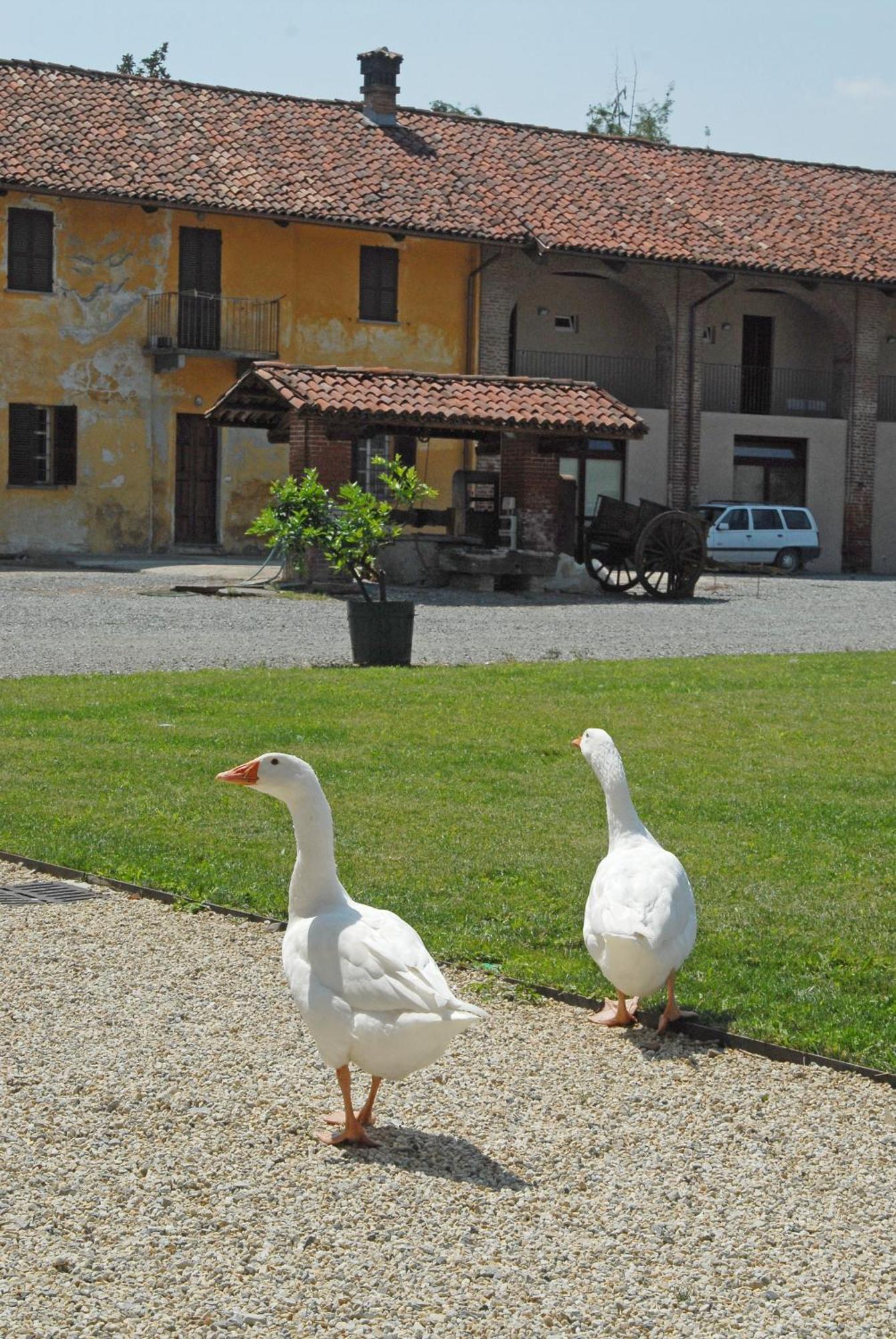 Hotel Antico Podere Propano Салуццо Экстерьер фото
